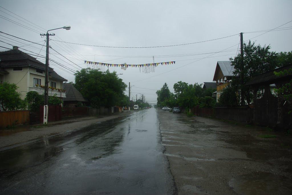 Біла Церква з panoramio.com - Біла Церква