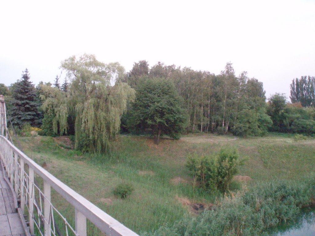 Кам'яне Поле з panoramio.com - Kamyane Pole