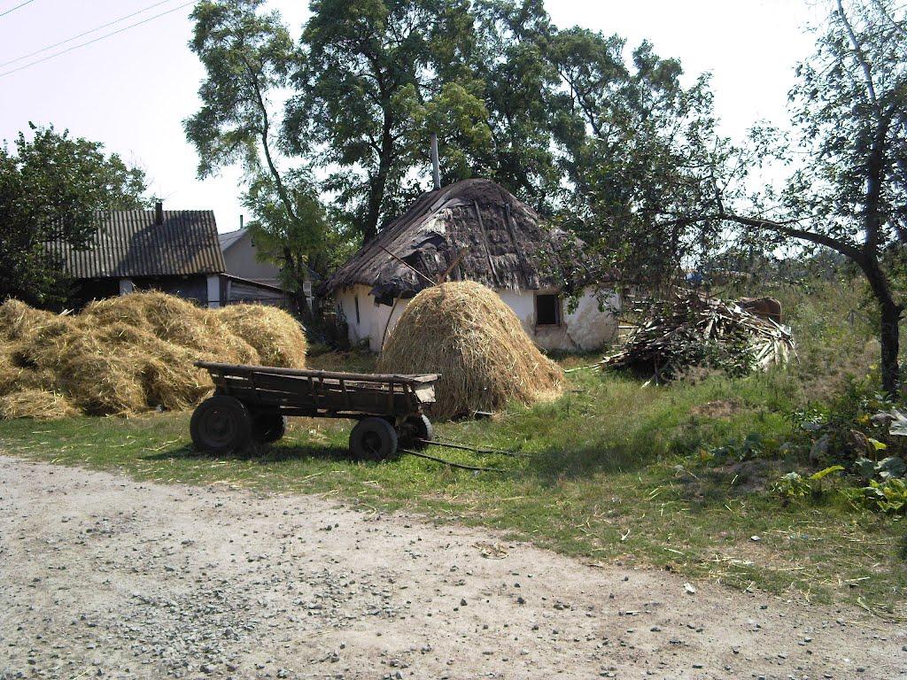 Соколівка з panoramio.com - Соколівка