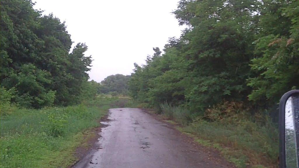 Зелене з panoramio.com - Зелене