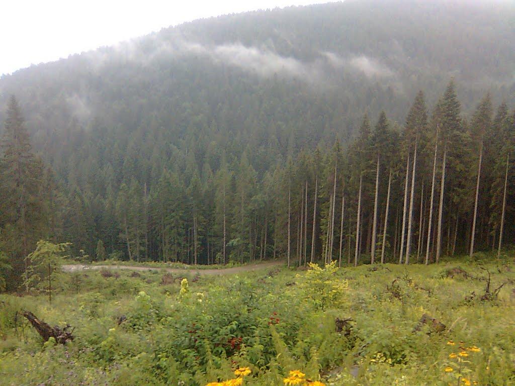 Долішній Шепіт з panoramio.com - Долишний Шепот
