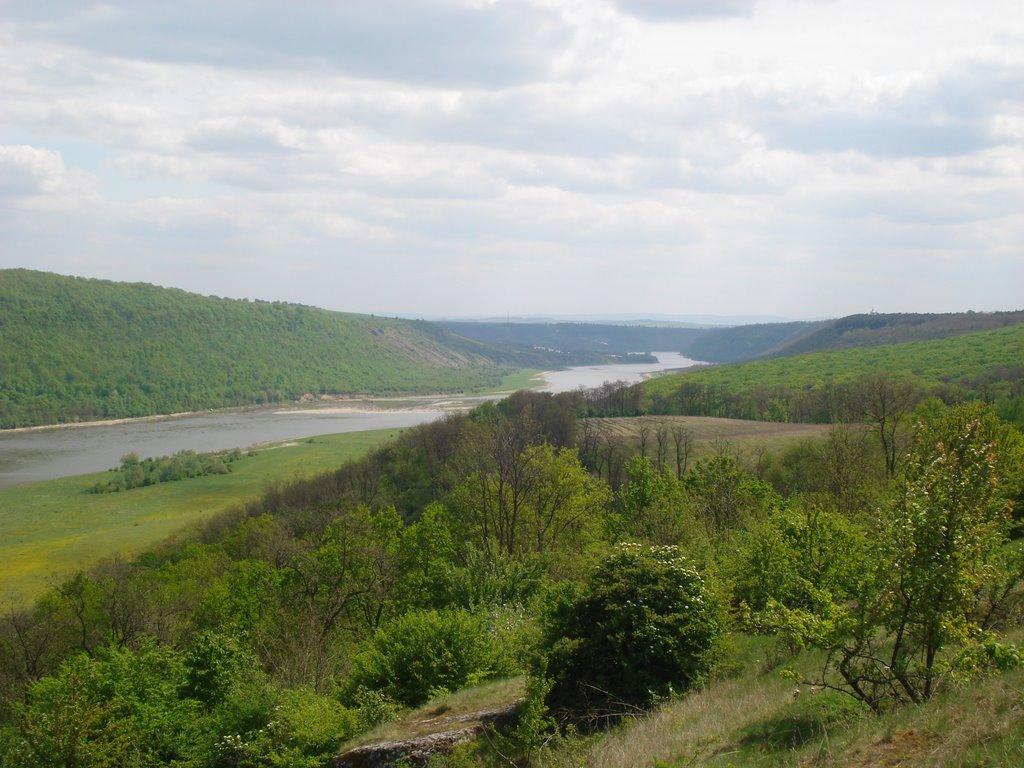 Репужинці з panoramio.com - Репужинцы