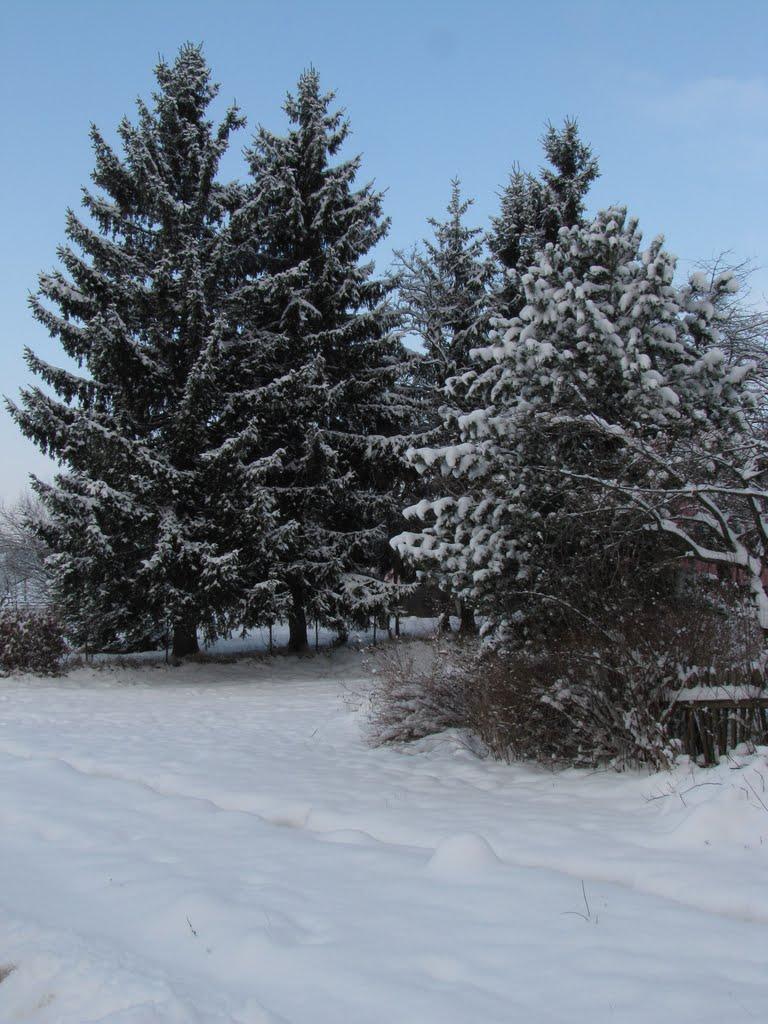 Брестів з panoramio.com - Brestiv