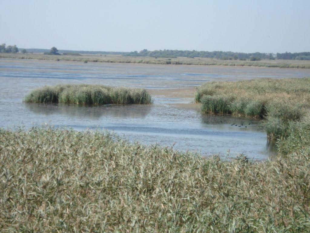 Займанка з panoramio.com - Займанка