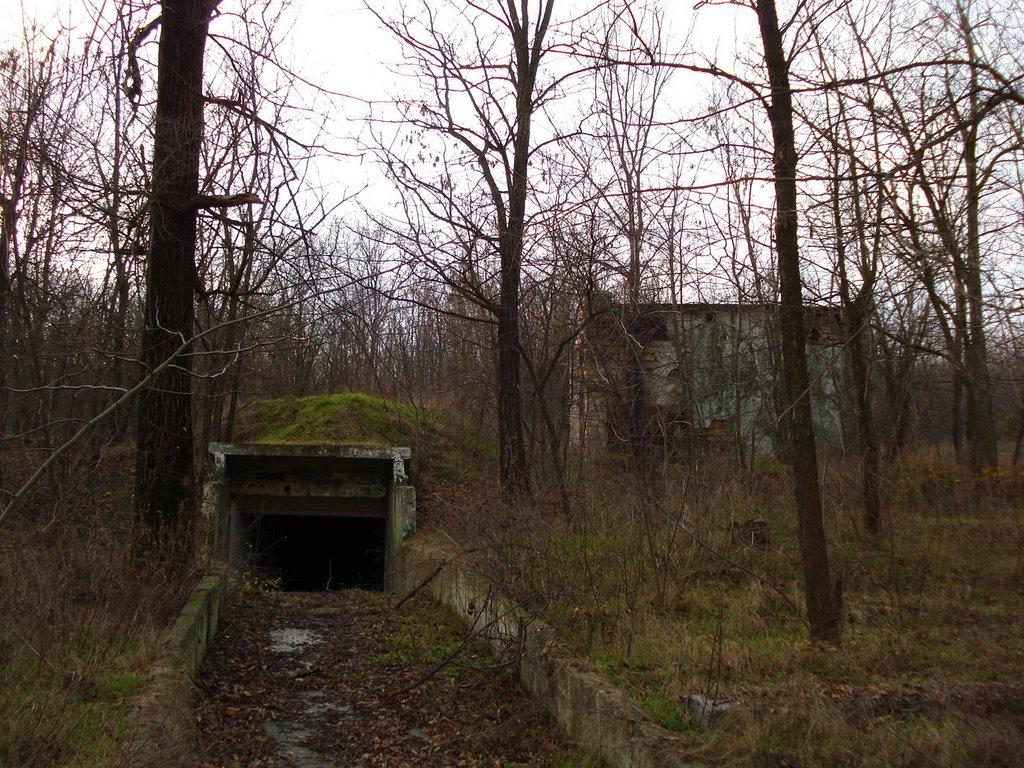 Козацьке з panoramio.com - Козацьке