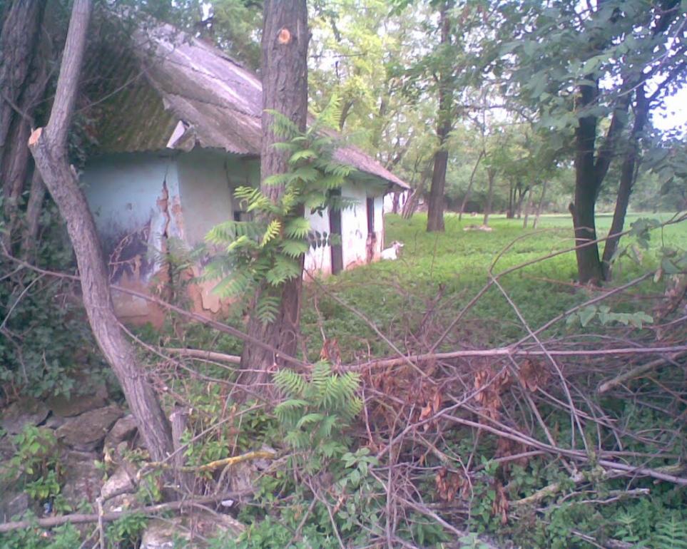 Олексіївка з panoramio.com - Алексеевка