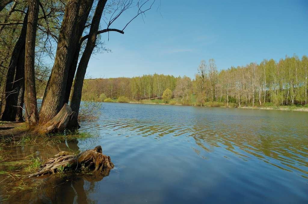 Люботин з panoramio.com (ч.2) - Люботин