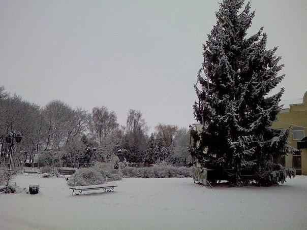 Торчин з panoramio.com - Торчин