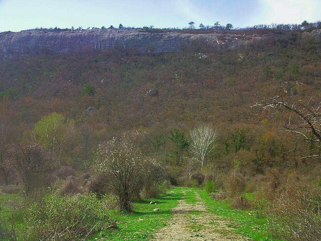 Передущельне з panoramio.com - Передущельне