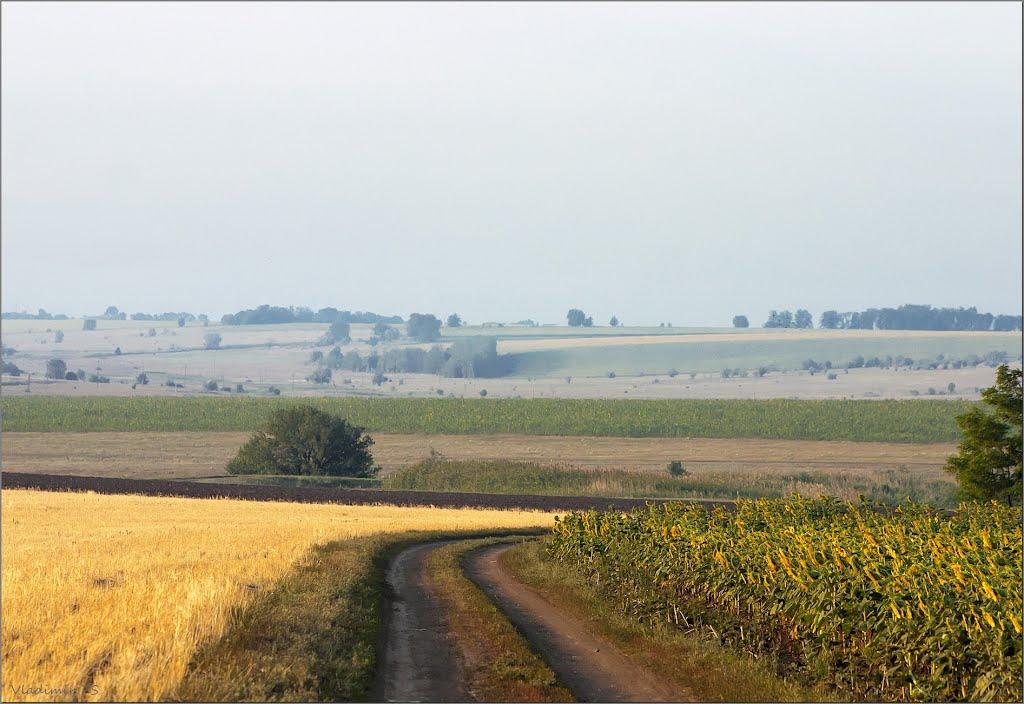 Авдотівка з panoramio.com - Авдотівка