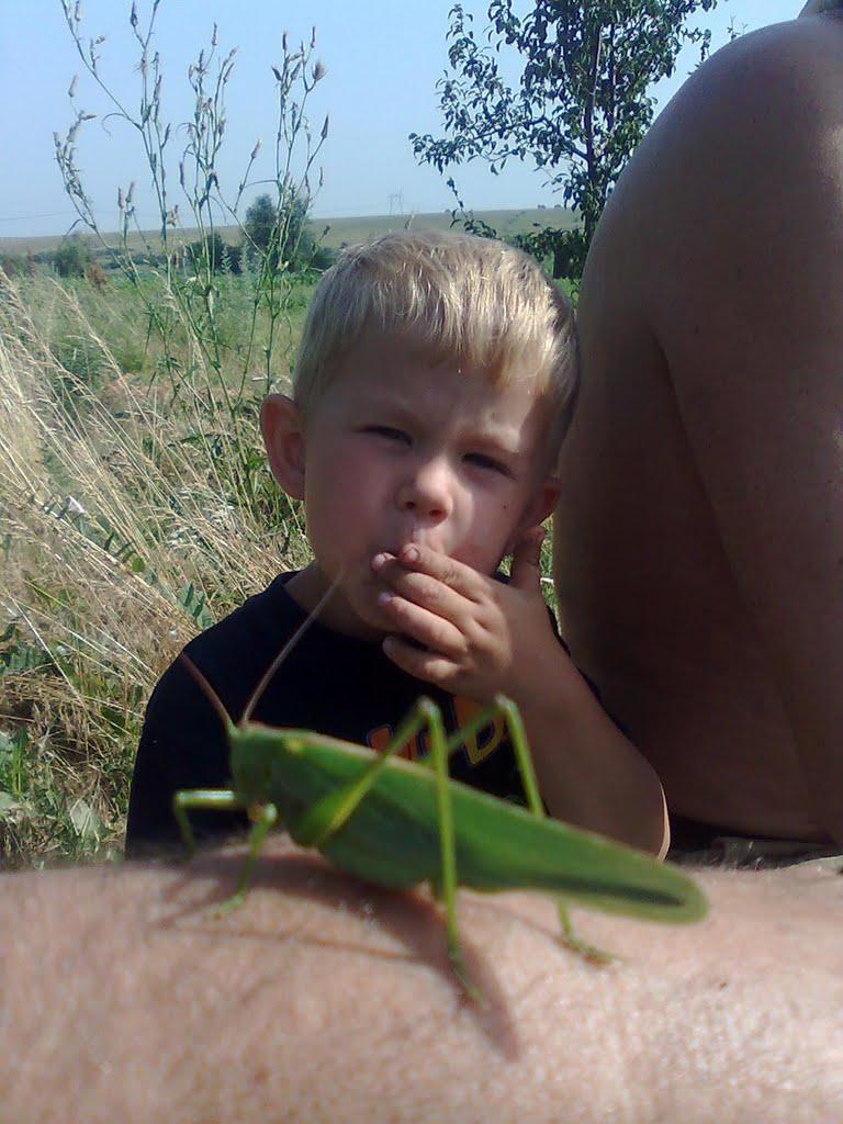 Зайцеве з panoramio.com - Зайцево