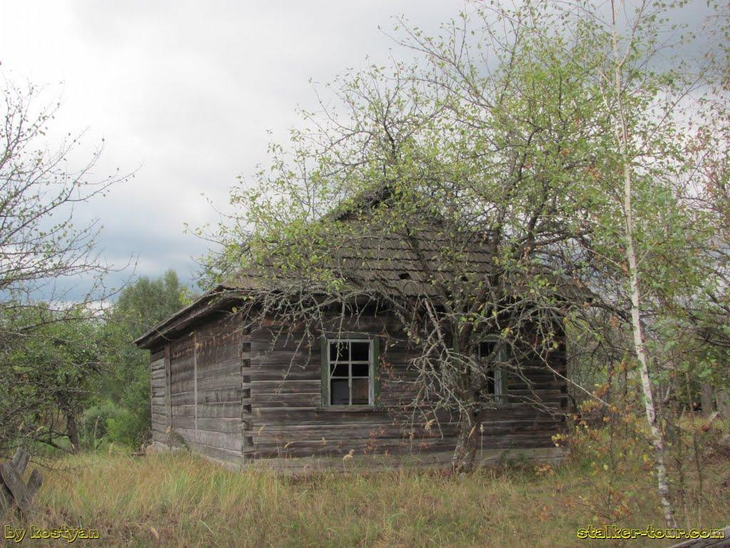 Дитятки з panoramio.com - Дитятки