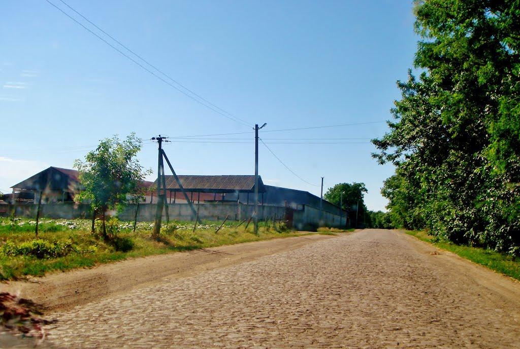 Козацьке з panoramio.com - Казацкое