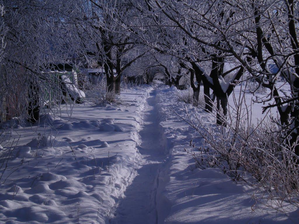 Цукурине з panoramio.com - Цукурине