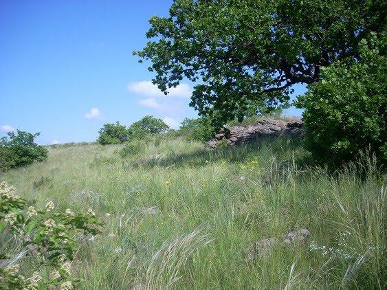 Ровеньки з panoramio.com - Rovenky
