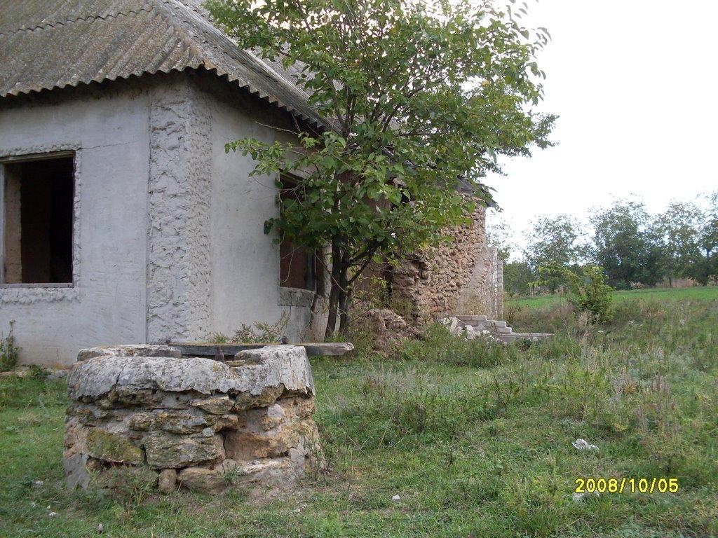 Первомаївка з panoramio.com - Первомаевка