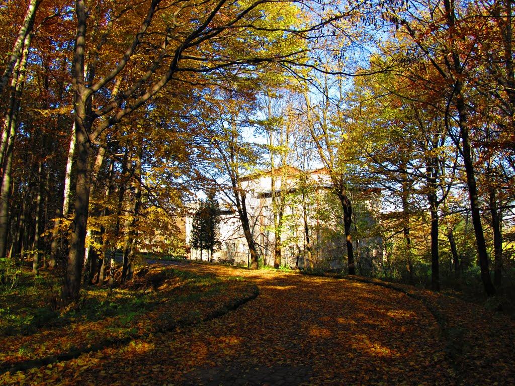 Рава-Руська з panoramio.com - Рава-Русская
