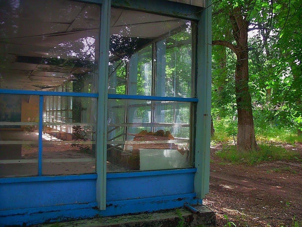 Краснолісся з panoramio.com - Краснолесье