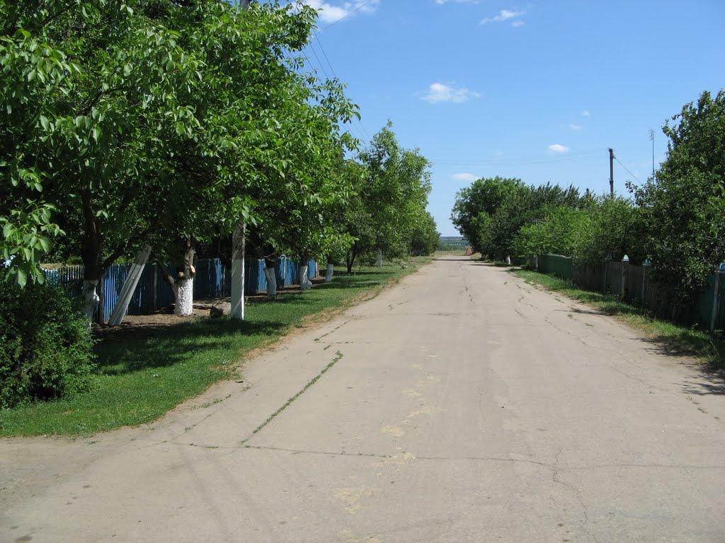 Карла Маркса з panoramio.com - Карла Маркса