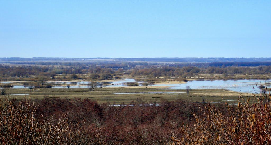 Дяківка з panoramio.com - Дяківка