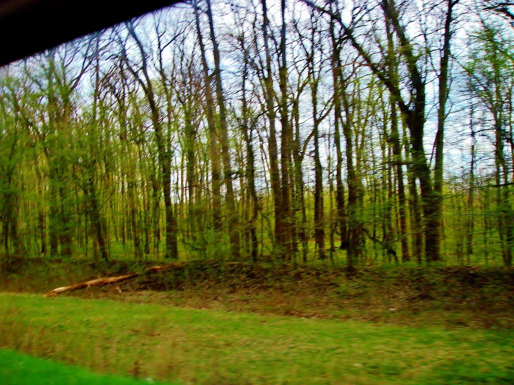 Смільчинці з panoramio.com - Смільчинці