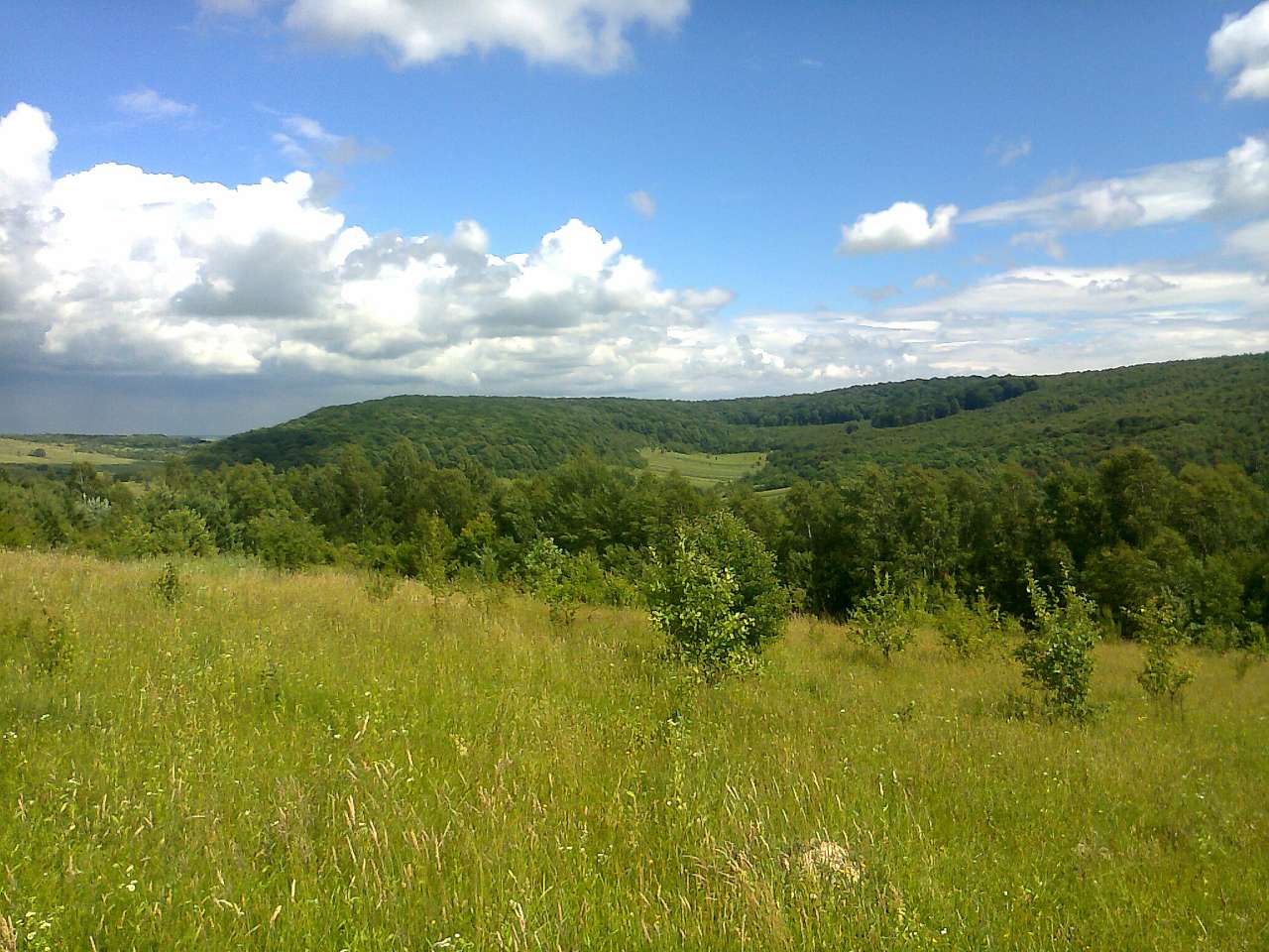 Червень_2014 - Прибинь