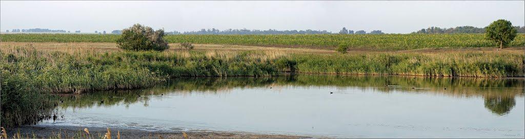 Авдотівка з panoramio.com - Авдотівка