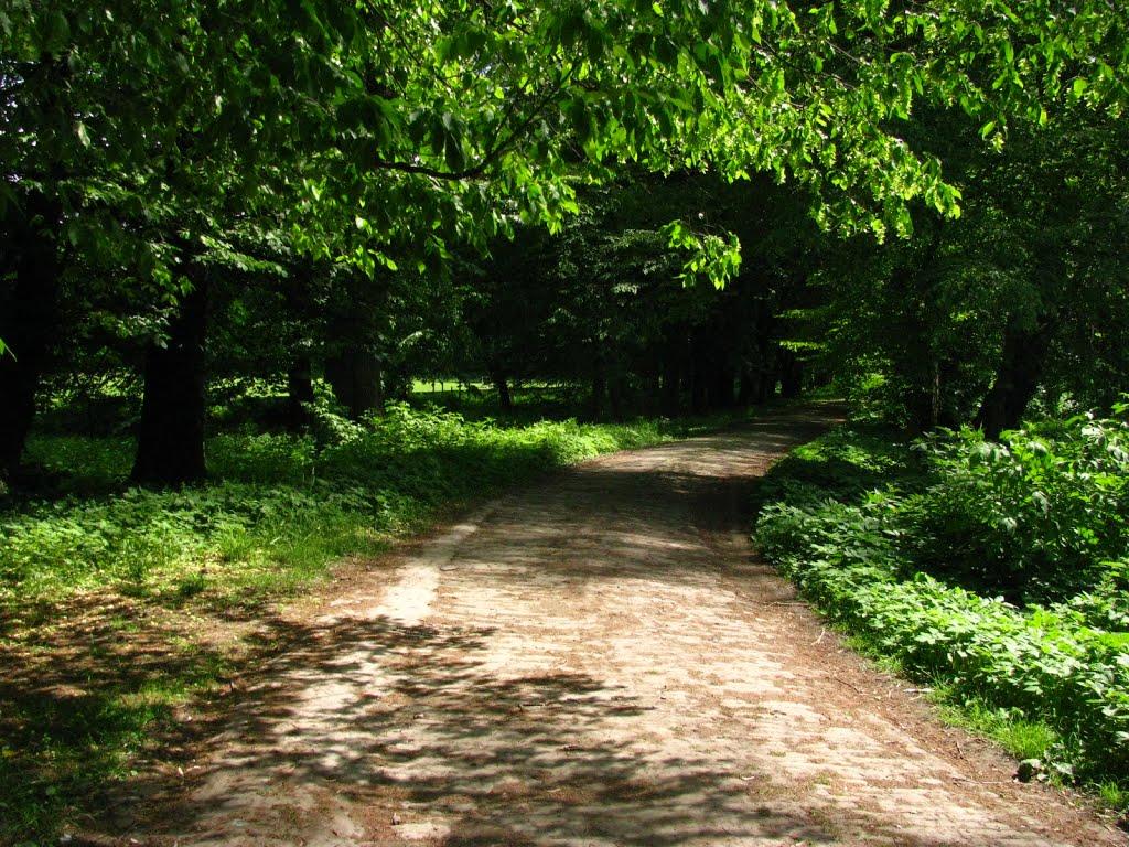 Тартаків з panoramio.com - Тартаков