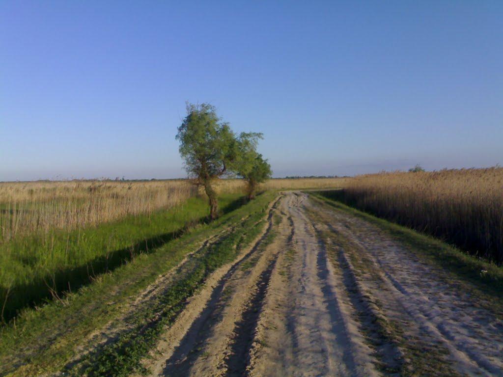 Стара Некрасівка з panoramio.com - Стара Некрасівка