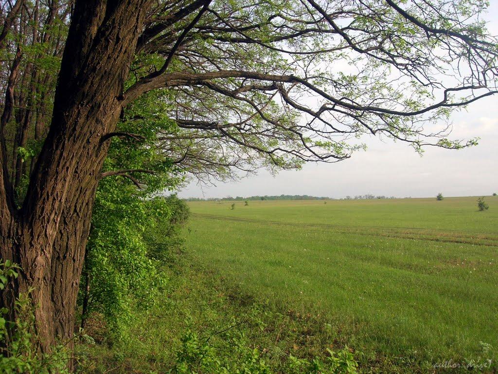 Грузька Григорівка з panoramio.com - Грузька Григорівка
