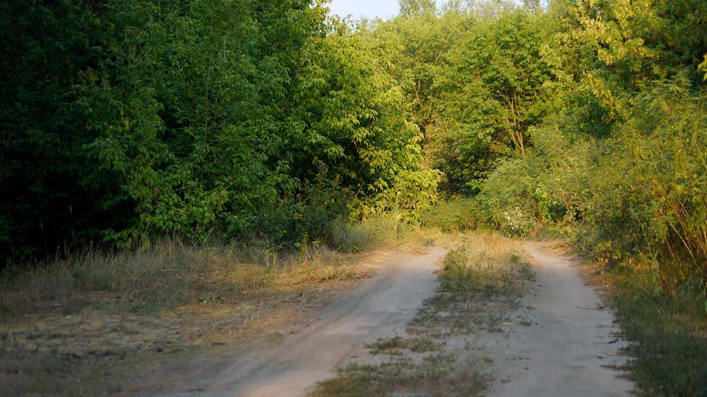 Проточі з panoramio.com - Проточі