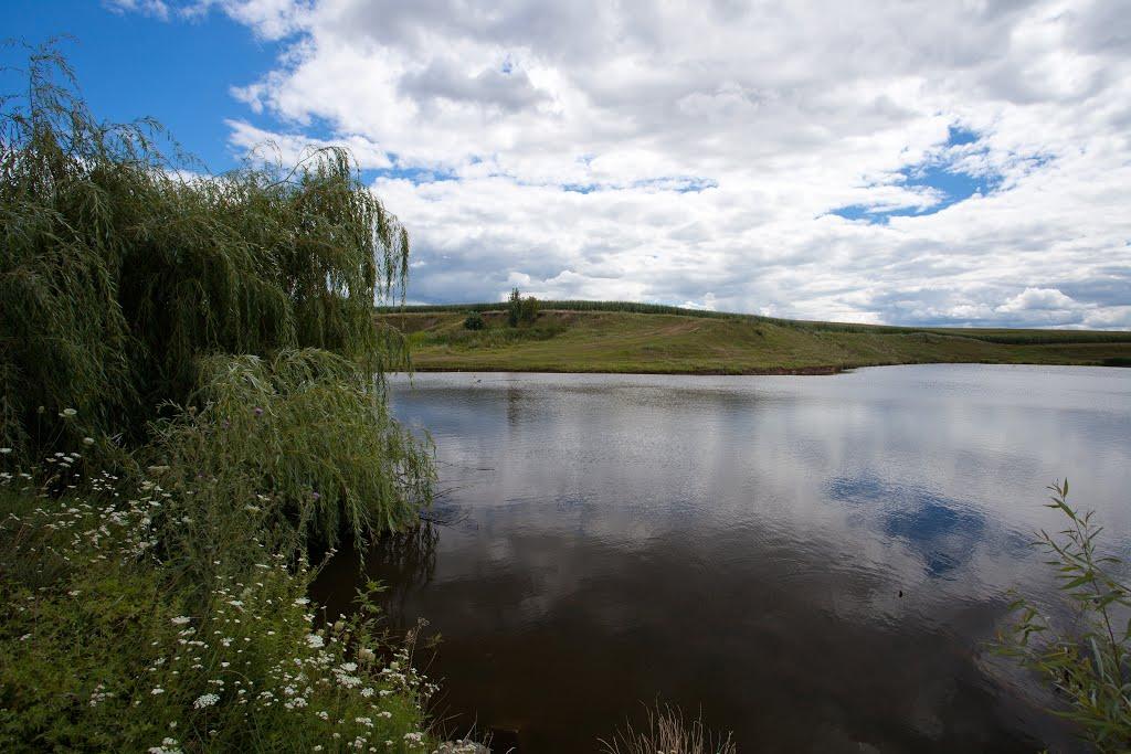 Харліївка з panoramio.com - Харліївка
