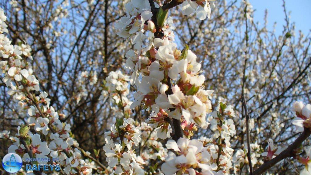 Нижня Сироватка з panoramio.com - Нижня Сироватка