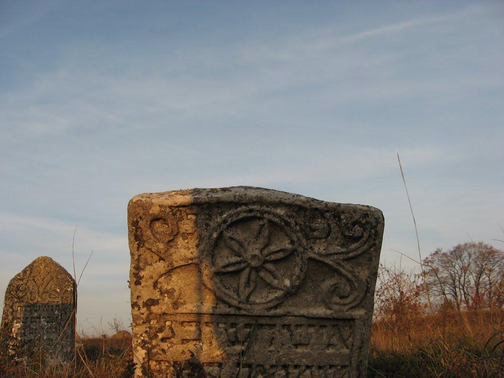 Купин з panoramio.com - Купин