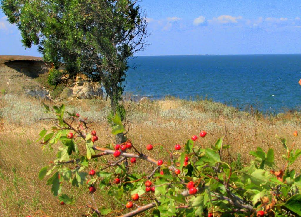 Уварове з panoramio.com - Уварове
