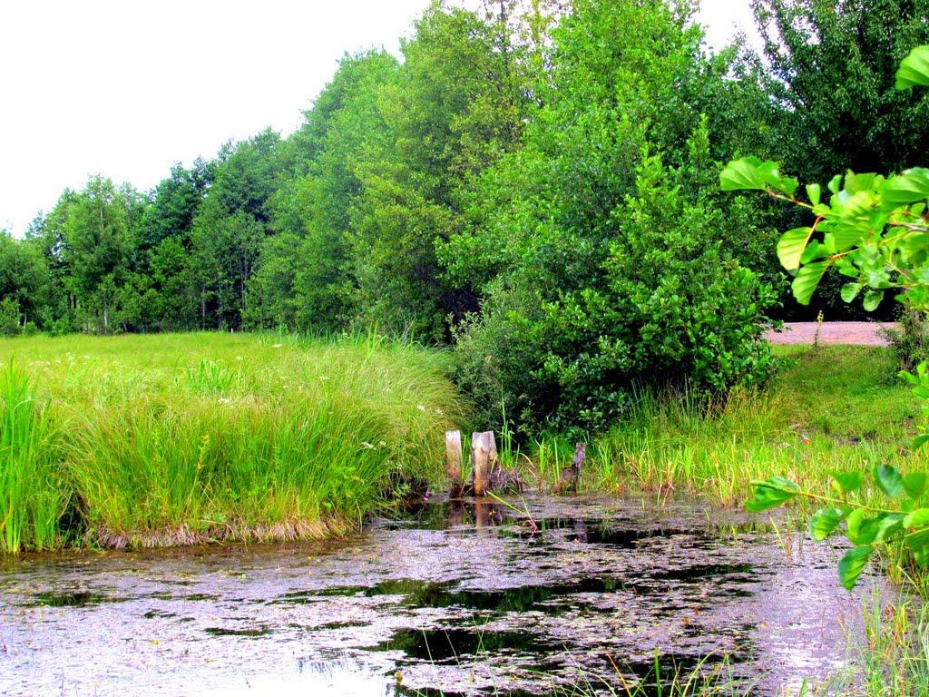 Озерці з panoramio.com - Озерці