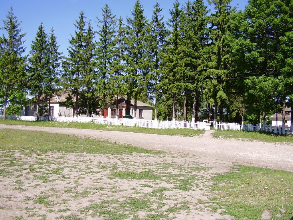 Коржівці з panoramio.com - Коржівці