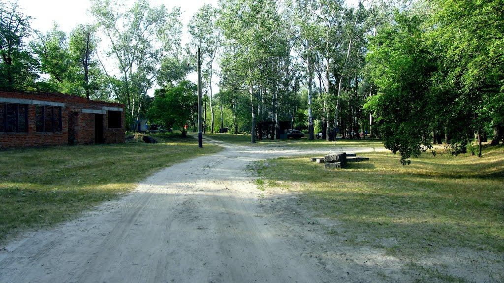 Кияшки з panoramio.com - Кияшки