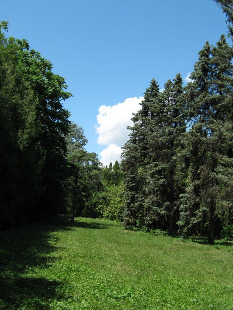 Бабичівка з panoramio.com - Бабичівка