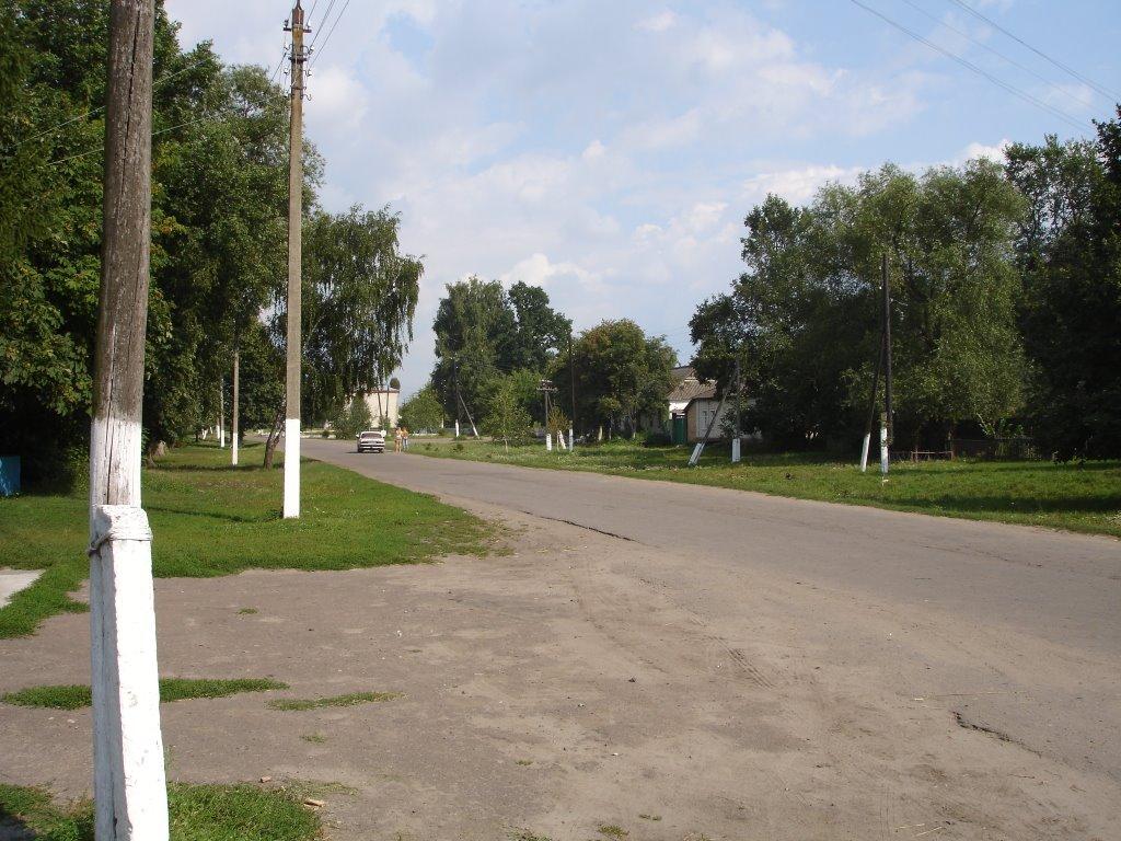 Безсалівка з panoramio.com - Безсалівка