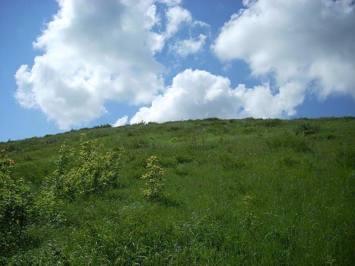 Ровеньки з panoramio.com - Rovenky