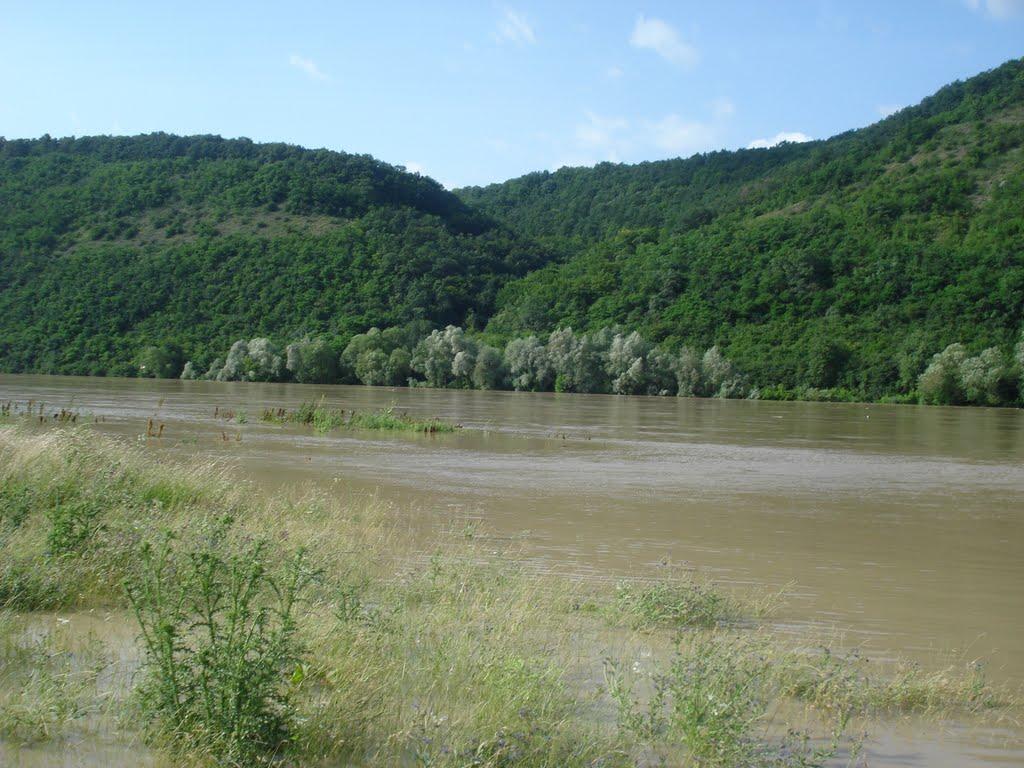 Бедриківці з panoramio.com - Бедриківці