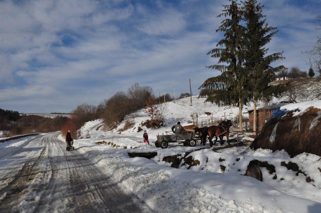 Поляна з panoramio.com - Поляна