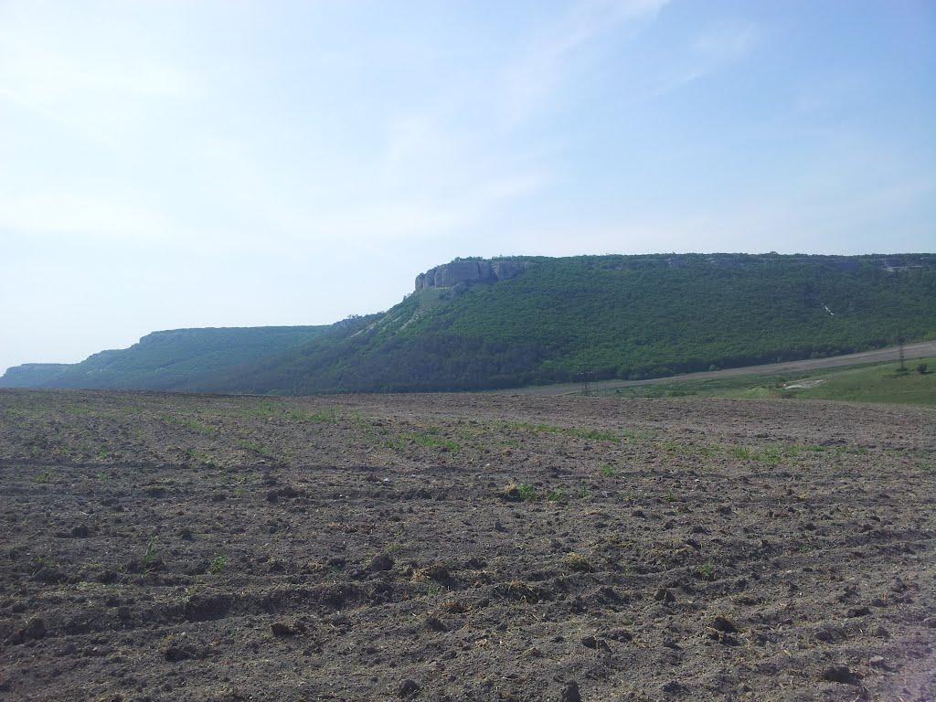 Партизанське з panoramio.com - Партизанское