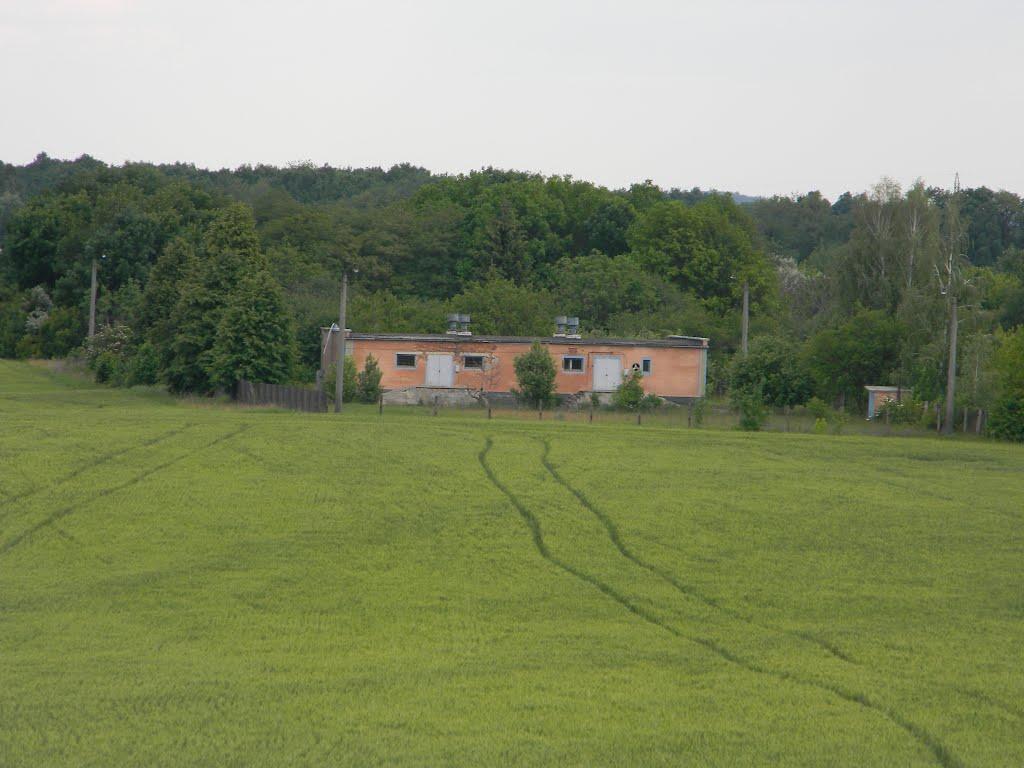 Білозір'я з panoramio.com - Белозерье