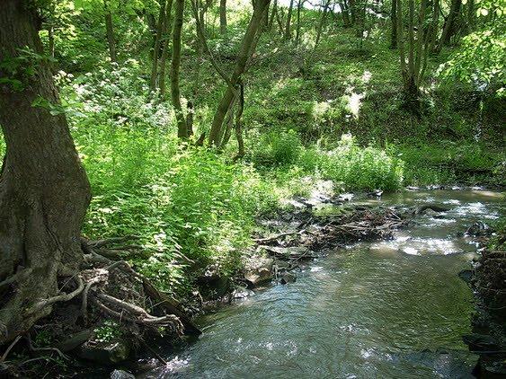 Ровеньки з panoramio.com - Ровеньки