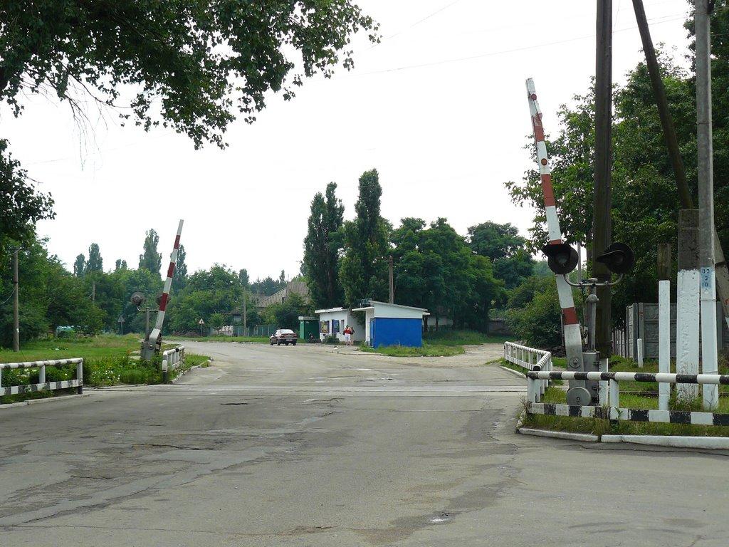 Протопопівка з panoramio.com - Протопопівка