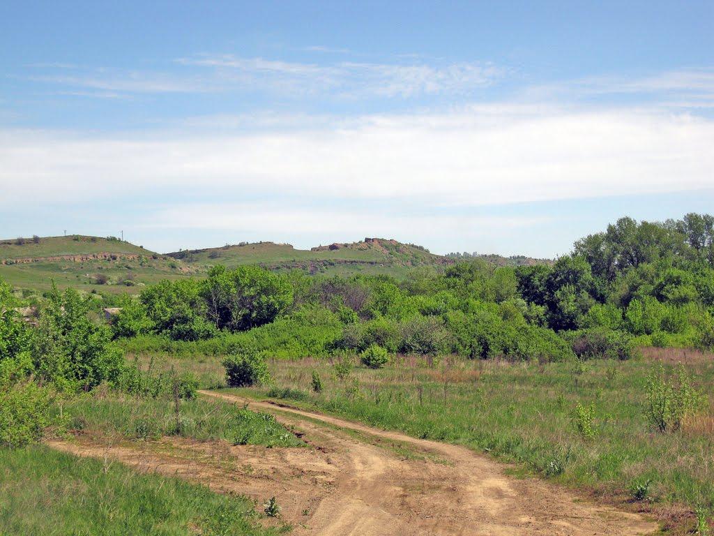 Селезнівка з panoramio.com - Селезневка