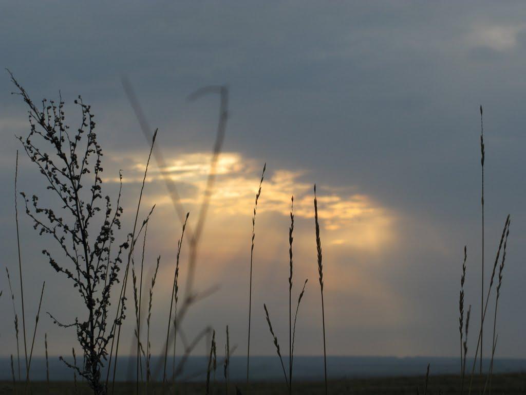 Волоське з panoramio.com - Волосское