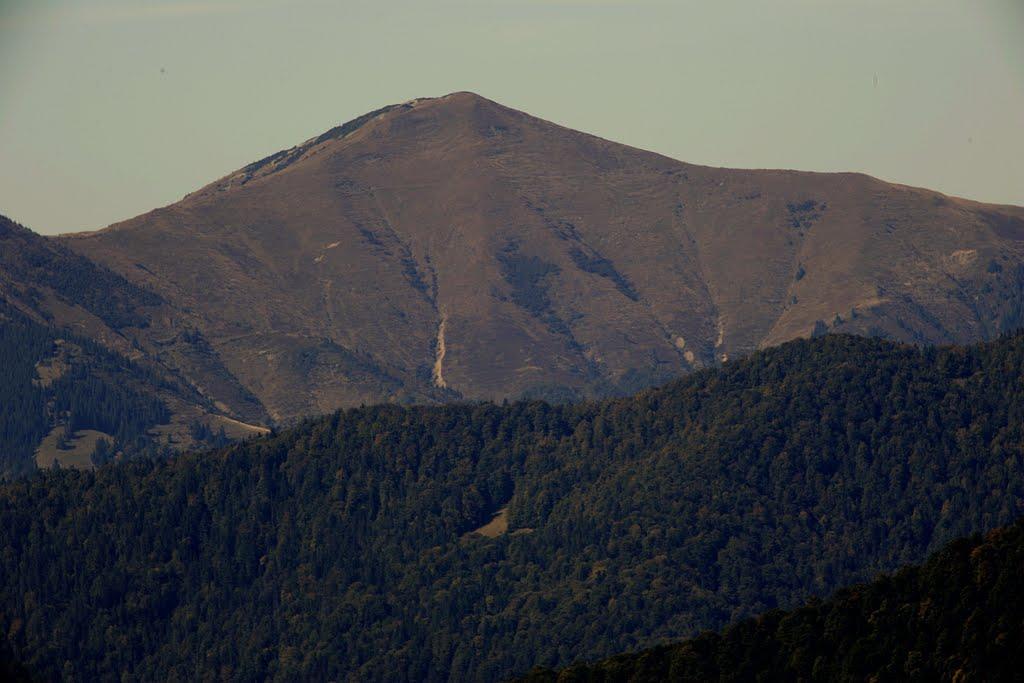 Лопухів з panoramio.com - Лопухов